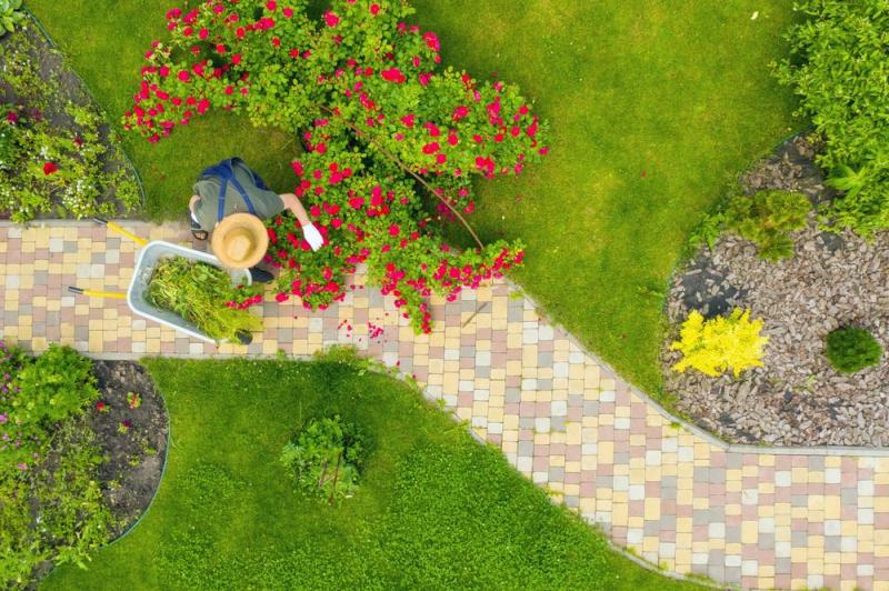 Pourquoi un nettoyage r&eacute;gulier des massifs favorise-t-il la pousse des fleurs et arbustes ?