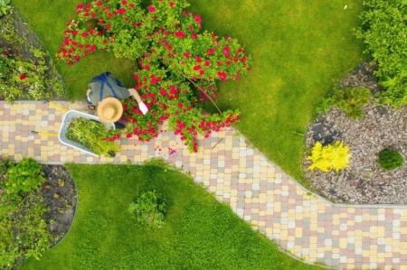 Pourquoi un nettoyage r&eacute;gulier des massifs favorise-t-il la pousse des fleurs et arbustes ?